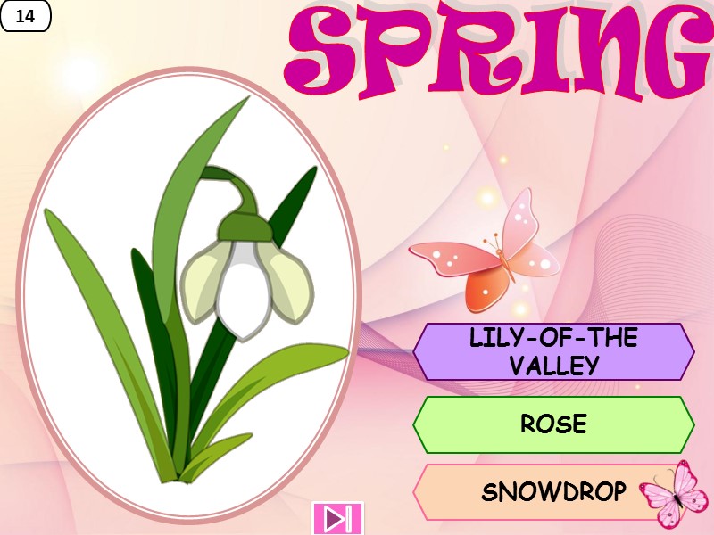 14 LILY-OF-THE VALLEY ROSE SNOWDROP SPRING